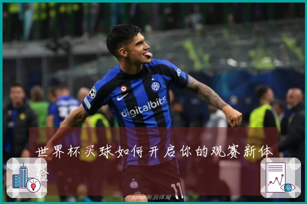 世界杯买球如何开启你的观赛新体验