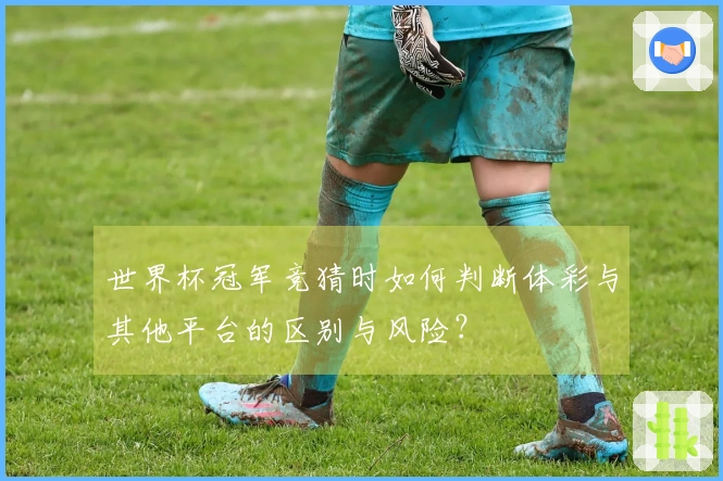世界杯冠军竞猜时如何判断体彩与其他平台的区别与风险？