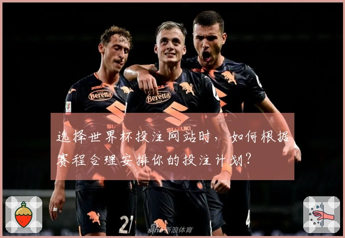 选择世界杯投注网站时,如何根据赛程合理安排你的投注计划?