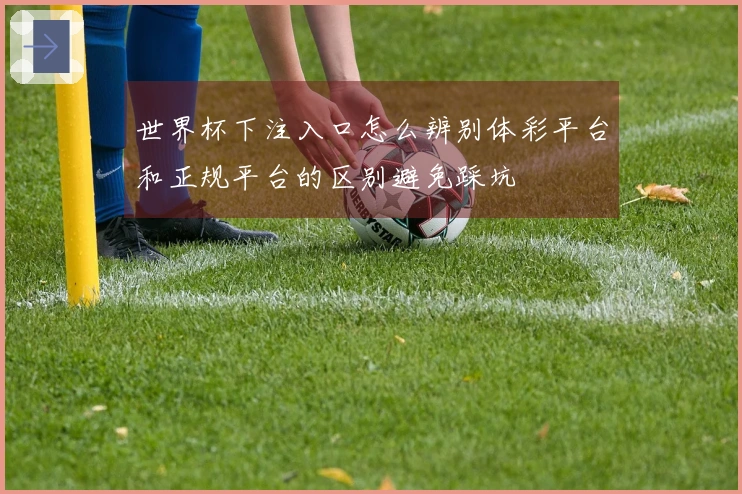 世界杯下注入口怎么辨别体彩平台和正规平台的区别避免踩坑