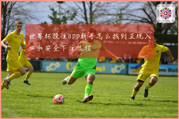 世界杯投注app新手怎么找到正规入口和安全下注流程