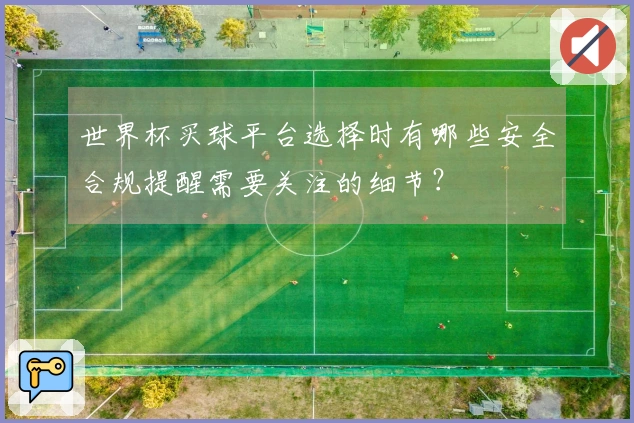 世界杯买球平台选择时有哪些安全合规提醒需要关注的细节？