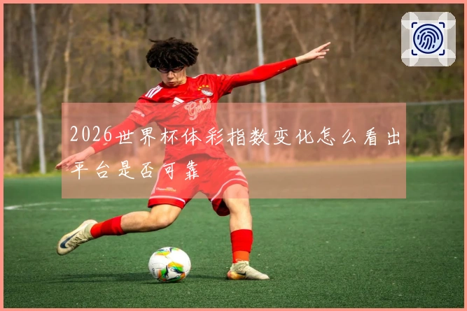 2026世界杯体彩指数变化怎么看出平台是否可靠