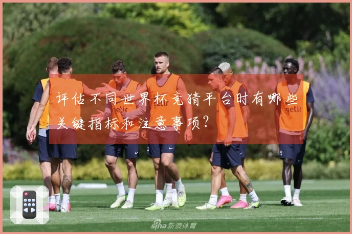 评估不同世界杯竞猜平台时有哪些关键指标和注意事项？
