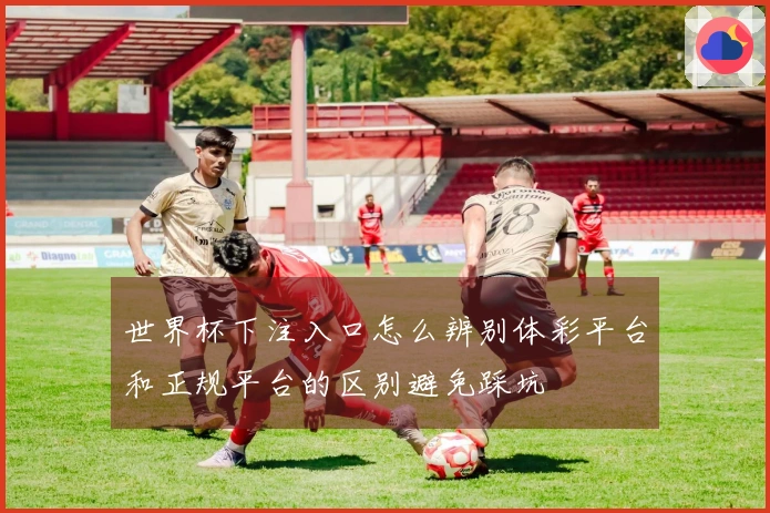 世界杯下注入口怎么辨别体彩平台和正规平台的区别避免踩坑