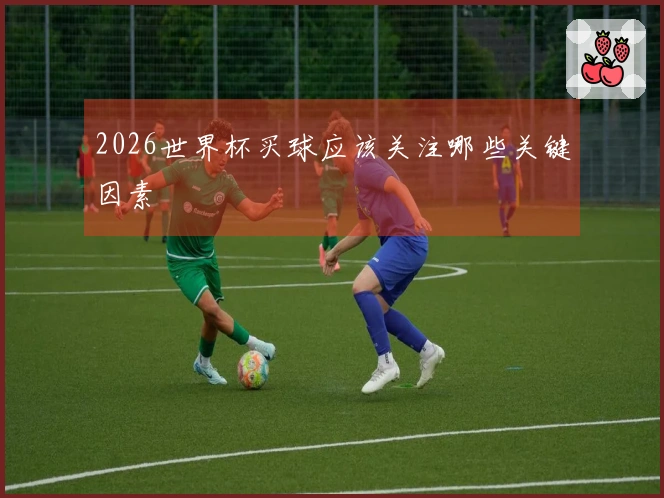 2026世界杯买球应该关注哪些关键因素