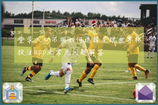登录入口不明如何选择正规世界杯投注app及常见问题解答
