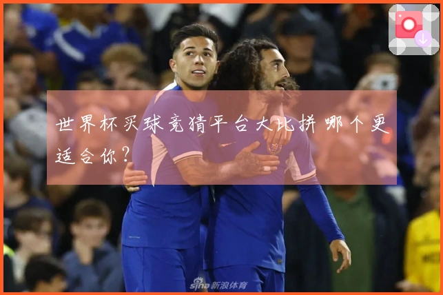 世界杯买球竞猜平台大比拼 哪个更适合你？