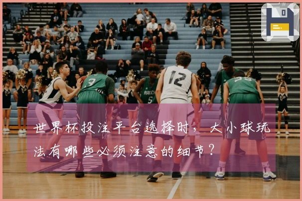 世界杯投注平台选择时，大小球玩法有哪些必须注意的细节？