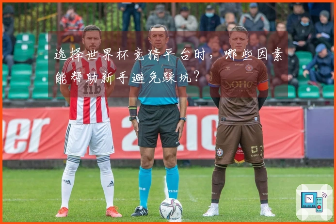 选择世界杯竞猜平台时，哪些因素能帮助新手避免踩坑？