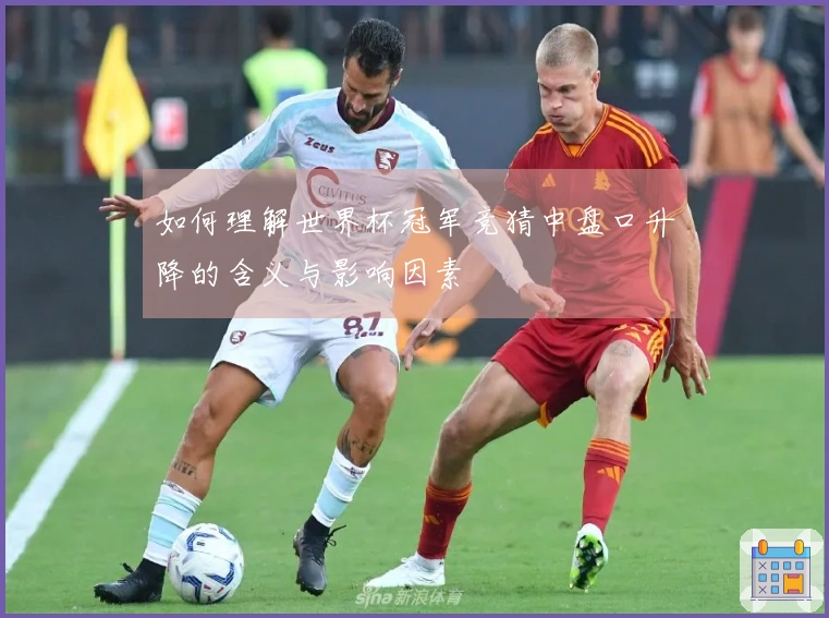 如何理解世界杯冠军竞猜中盘口升降的含义与影响因素