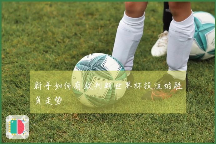 新手如何有效判断世界杯投注的胜负走势