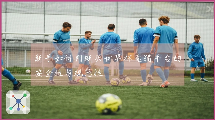 新手如何判断买世界杯竞猜平台的安全性与规范性