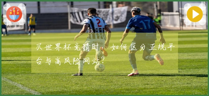 买世界杯竞猜时，如何区分正规平台与高风险网站？