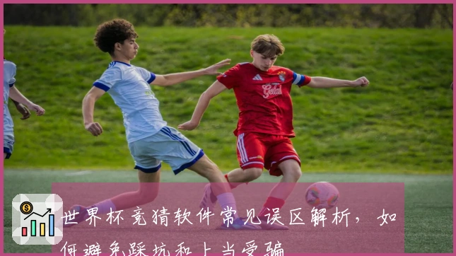 世界杯竞猜软件常见误区解析，如何避免踩坑和上当受骗