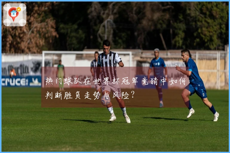 热门球队在世界杯冠军竞猜中如何判断胜负走势与风险？