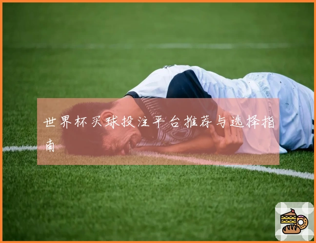 世界杯买球投注平台推荐与选择指南