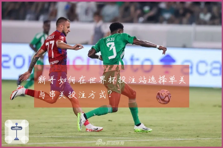 新手如何在世界杯投注站选择单关与串关投注方式？