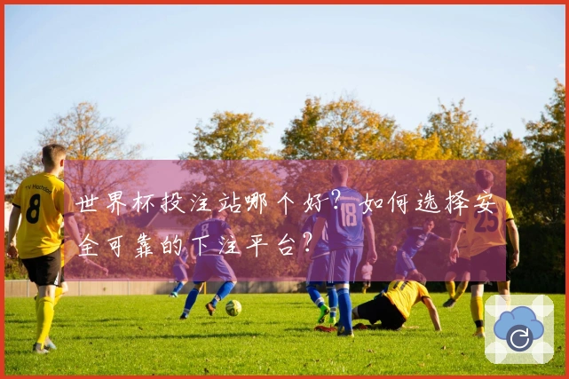 世界杯投注站哪个好？如何选择安全可靠的下注平台？