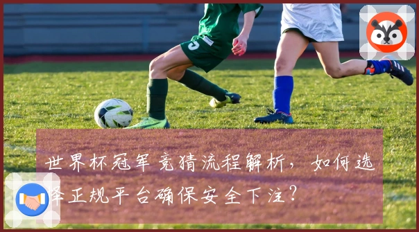 世界杯冠军竞猜流程解析，如何选择正规平台确保安全下注？