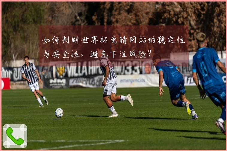 如何判断世界杯竞猜网站的稳定性与安全性，避免下注风险？