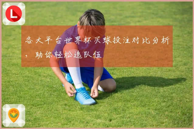 各大平台世界杯买球投注对比分析，助你轻松选队伍