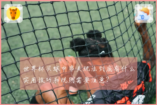 世界杯买球中串关玩法到底有什么实用技巧和规则需要注意？