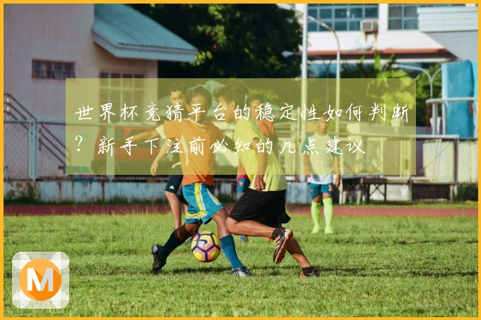 世界杯竞猜平台的稳定性如何判断？新手下注前必知的几点建议