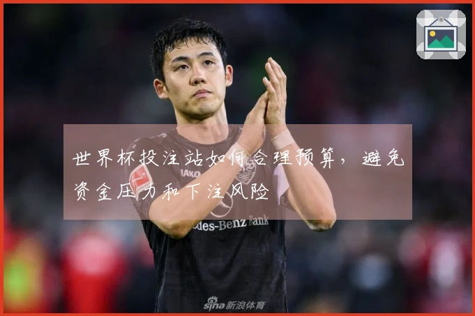 世界杯投注站如何合理预算，避免资金压力和下注风险