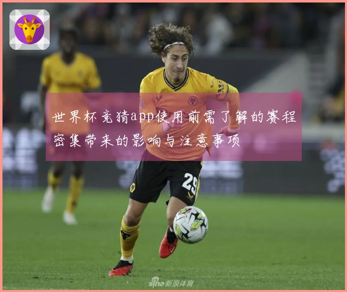 世界杯竞猜app使用前需了解的赛程密集带来的影响与注意事项