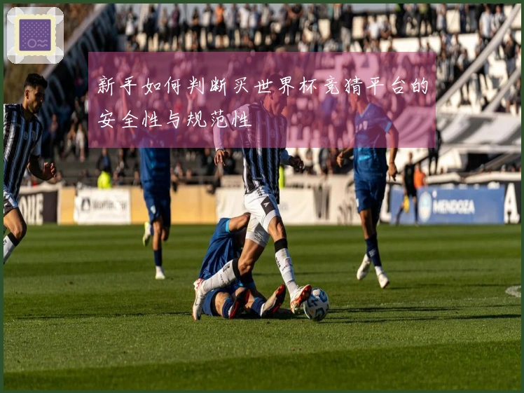 新手如何判断买世界杯竞猜平台的安全性与规范性