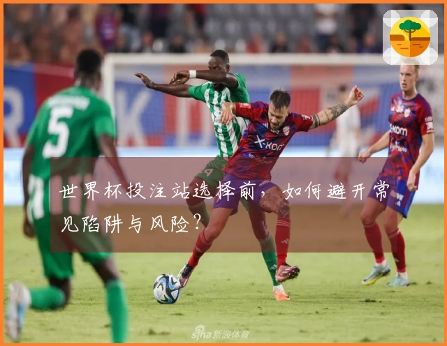 世界杯投注站选择前，如何避开常见陷阱与风险？