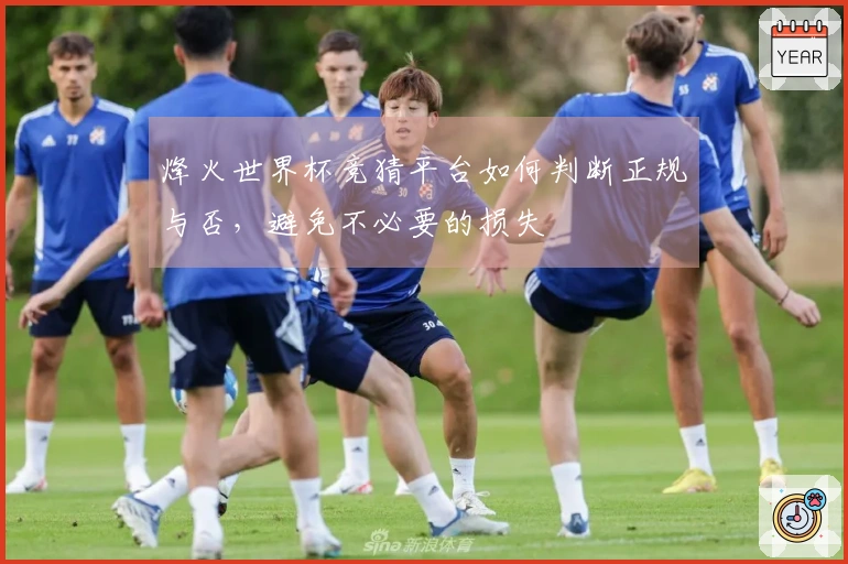 烽火世界杯竞猜平台如何判断正规与否，避免不必要的损失