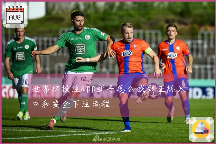 世界杯投注app新手怎么找到正规入口和安全下注流程