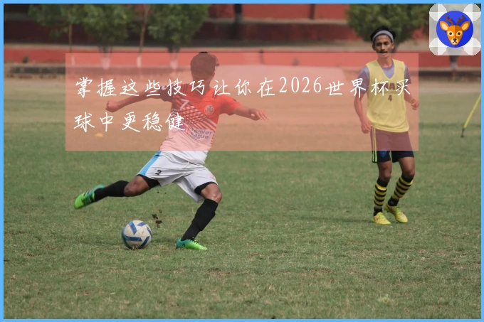 掌握这些技巧让你在2026世界杯买球中更稳健