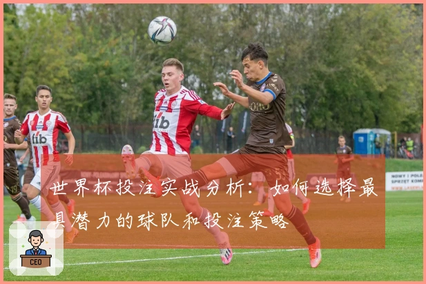 世界杯投注实战分析：如何选择最具潜力的球队和投注策略
