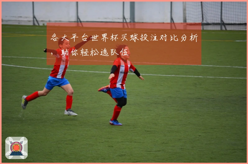 各大平台世界杯买球投注对比分析，助你轻松选队伍