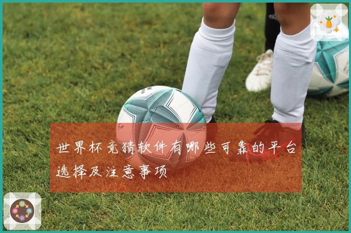 世界杯竞猜软件有哪些可靠的平台选择及注意事项