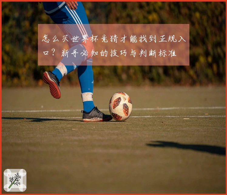 怎么买世界杯竞猜才能找到正规入口？新手必知的技巧与判断标准